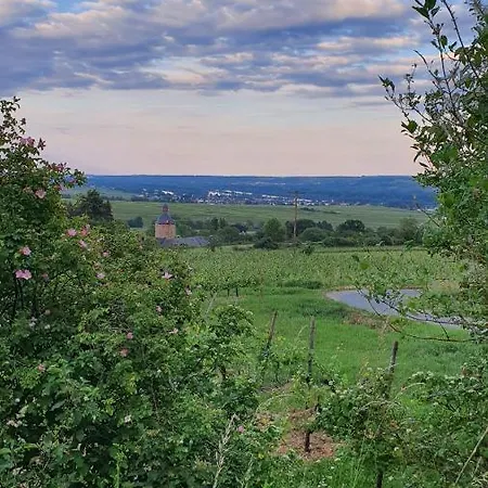 Stielbucht Hattenheim