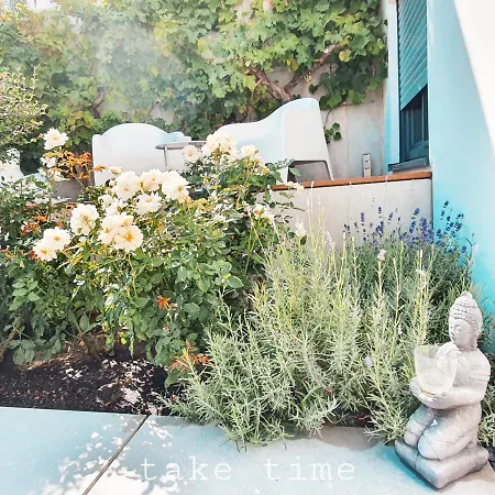 Stielbucht * Hattenheim