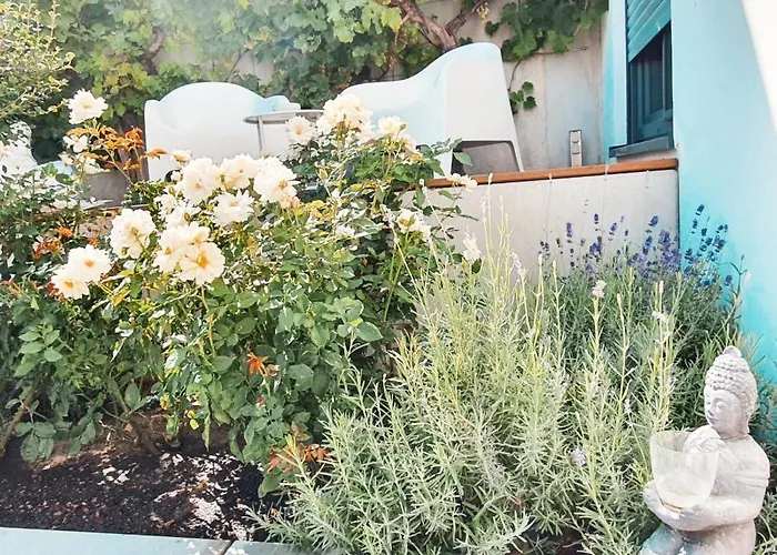 Stielbucht * Hattenheim