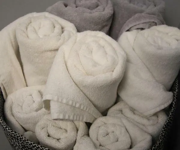 Apartment Stielbucht